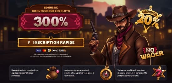 Interface et fonctionnalités