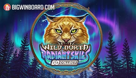 Wild North Radiant Skies